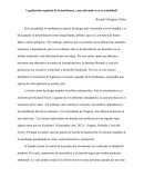 Legalización regulada de la marihuana ¿una alternativa en la actualidad?