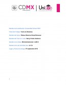 Administracion Yukki Mirai Women & Men