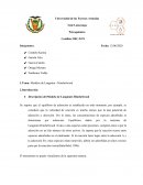 Modelos de Langmiur - Hinshelwood