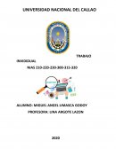 NIA 210 ACUERDO DE LOS TERMINOS DE ENCARGO DE AUDITORIA