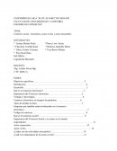 Comercio social - electrónico, actos civiles y actos mercantiles