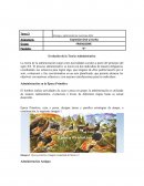 Evolución de la Teoría Administrativa