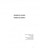 Propuesta mejora sistema educacional