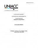 CONTABILIDAD GUBERNAMENTAL Fondos Soberanos
