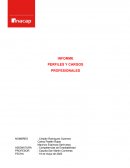 Informe perfiles y cargos profesionales
