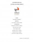 MICROEMPRESAS EN EL PERÚ