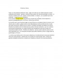 Todos en la pandemia