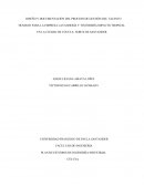 Diseño y documentación del proceso de gestión de talento humano para la empresa lavandería y tintoreria impacto tropical