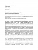 Blockbuster de los 80