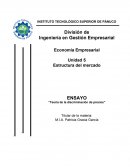 Teoria descriminaciòn de precios