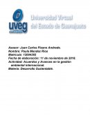 Actividad: Acuerdos y Avances en la gestión ambiental internacional