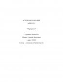 Estructura organizativa Cablevisión S.A