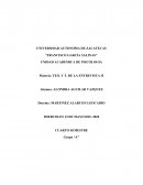 ELEMENTOS DEL DIAGNOSTICO PSICOPEDAGOGICO