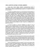 LIMITES DEL SISTEMA Y ENTORNO (AMBIENTE)
