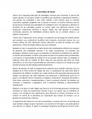 Caso Cirque Do Soleil