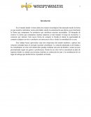 Planeación y organización Comercializadora