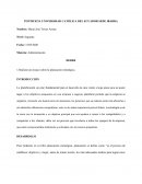 Administración. Planeación estratégica