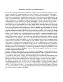 Situaciones actuales de los pueblos indígenas