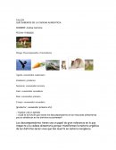 TALLER QUE SABEMOS DE LA CADENA ALIMENTICIA