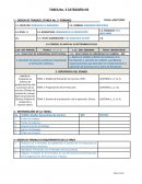 Proceso de realizar una investigacion