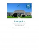 Organismos economicos internacionales