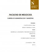 DESARROLLO, LANZAMIENTO Y BRANDING DE NUEVOS PRODUCTOS