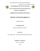 PROYECTO DE DESARROLLO