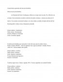 Caracteristicas del arte precolombino