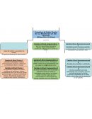 Ciclo De Vida Del Desarrollo Humano