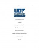 Patentes Marcas y Derechos de Autor