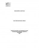 PROGRAMA FORMACION: TECNOLOGIA EN GESTION LOGISTICA