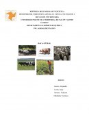 PNF. AGROALIMENTACION