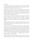 Análisis del caso S.A repuestos de Automoción