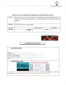 DESAROLLO ORGANIZACIONAL. DESCRIPCIÓN DE CARGOS