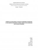 Analizar los instrumentos y técnicas actualizadas actualmente en las auditoria informativa e Indicar cuales son las evidencias más comunes utilizadas
