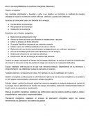 Gestion energética