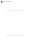 Marketing, Comercialización e Internet, ¿La miscelánea perfecta?