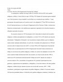 Convenio 169 de la OIT (Organización Nacional del Trabajo)