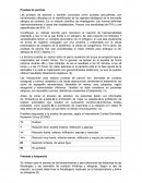 Pruebas de parches y fototest