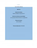 La comunicación efectiva del líder en la organización