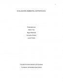 EVALUACIÓN AMBIENTAL ESTRATEGICA