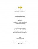 PROPUESTA PLAN DE MEJORA PARA LA ORGANIZACIÓN RAMO S.A