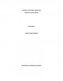 SISTEMA DE ECUACIONES LINEALES NxN METODO DE GAUSS-JORDAN