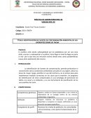 IDENTIFICACIÓN DE FUENTES DE CONTAMINACIÓN AMBIENTAL EN LAS DIFERENTES ZONAS DE TACNA