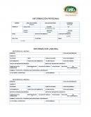 REFERENCIAS LABORALES