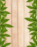 Argumentos de ensayo. La legalización de las Drogas