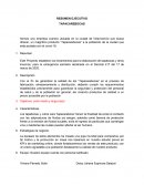 RESUMEN EJECUTIVO TAPACAREBOCAS