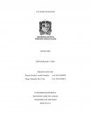 PROTOTIPO CRONOGRAMA Y PERT