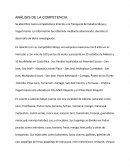 Ejemplo de analisis de competencia