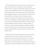 Ensayo sobre el Plan Nacional de Desarrollo